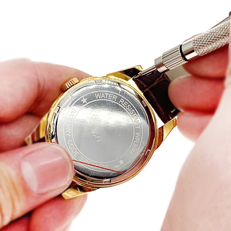4Pin Replace Watch Strap Sprin - Spring Bar Tool Set recensie en prijs